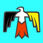 Screenshot 2025-07-09 085003 The Tribal Adaptive logo stylized eagle graphic with a black left wing, yellow right wing, white head and upper body, and red lower body, set against a bright turquoise background.